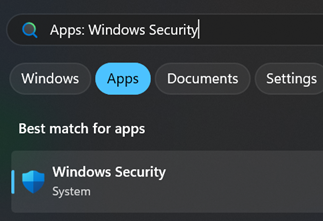search-windows-security.png